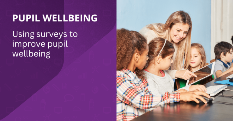 Pupil wellbeing survey